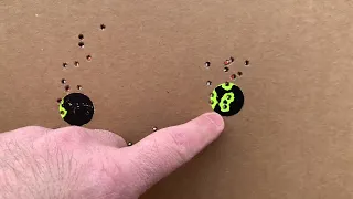 Tikka T1X accuracy groups