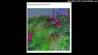 user18081971 - dark horse overlord acid+7