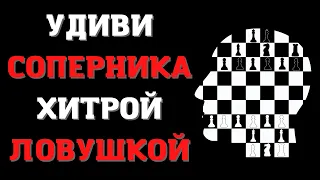 Удиви соперника хитрой ловушкой | Шахматы гамбит в Скандинавской защите