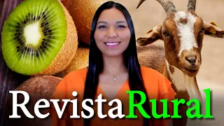 PROGRAMA REVISTA RURAL - 19/03/2023