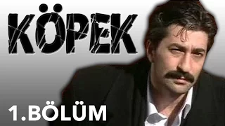 Köpek - 1.Bölüm