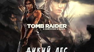 Tomb Raider - #2 В поисках выживших