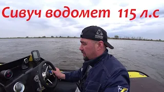Кастом Лодка RIB из ПНД Сивуч водомет 115 л.с