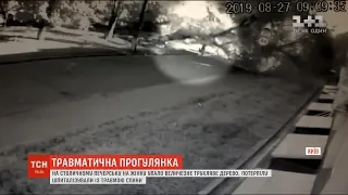 У середмісті Києва на жінку впало величезне дерево