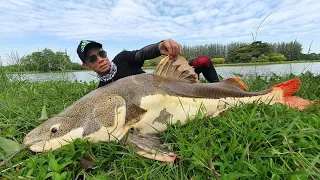 Big Cat  Big Fish  Monster Catch Fishing Thailand 2022 BKKGUY