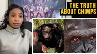 "The Terrifying Truth About Chimps" (Casual Geographic Reaction)