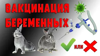 Вакцинация беременных / "за" и "против"