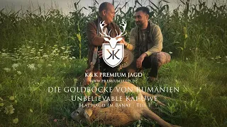 Goldböcke in Rumänien  - K&K Blattjagd mit Kai-Uwe Kühl - Jagdtage der Extraklasse
