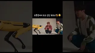 [BTS]로봇강아지 보고 신난 또또즈🐿🐥(아 귀여워ㅋㅋㅋㅋㅋ)