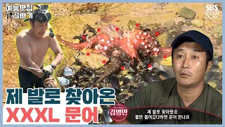 A giant octopus that came on it's own [Entertainment Restaurant X Double/Law of the Jungle]