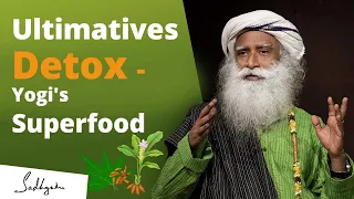 Entgifte deinen gesamten Körper mit diesen Superfoods - Sadhguru