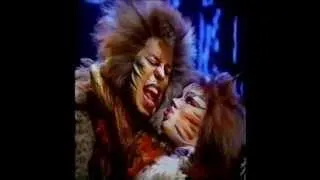 Cats the musical-Rum Tum Tugger-1980's