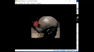 HL2 is actually playable on ReactOS with hw acceleration