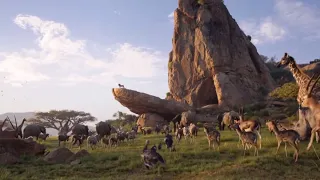 The Lion King 2019 - Happy Ending (HD)