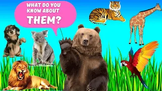 Learn really wild Animals Hippos, Lions, Dogs, Horses,  Ducks, Birds - Animal Sounds