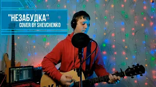 Незабудка-Тима Белорусских (cover by Shevchenko)