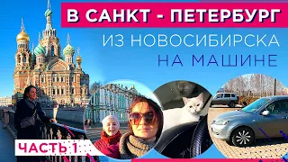 🔹в Санкт-Петербург🔹 путешествие на машине из Новосибирска🔹через половину России🔹