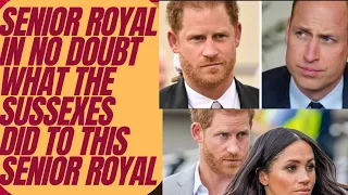 WILLIAM TRULY BELIEVES THIS OF THE SUSSEXES - SHOCK #royal #meghanandharry #meghanmarkle