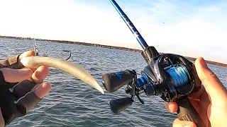 Do this SIMPLE Trick to Catch Fish WHEN EVERYONE IS STRUGGLING! What Fishing Pros will NEVER SHARE!