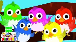 Five Little Birds | The Birds Song | Nursery Rhymes & Songs For Children | Kids Rhyme