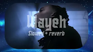 THEODORT - Wayeh (slowed + reverb) || By B3N