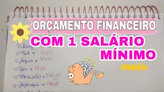 ORÇAMENTO FINANCEIRO COM 1 SALÁRIO MÍNIMO (maio)