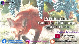 Predicación "Cuida la viña que está en cierne". Pastora Luisa Ramírez.