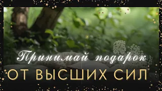 🕊️За что Вас хотят наградить 💫 Высшие силы и чем❓🌹🌗 расклад таро