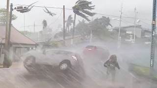 Evacuation in Japan! Storm Khanun breaks trees and overturns cars in Okinawa and Kagoshima