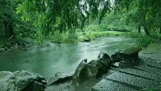 The beautiful little river is raining(23) , sleep, relax, meditate, study, work, ASMR