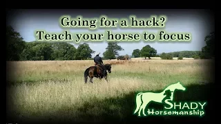 Going for a hack? Teach your horse to focus