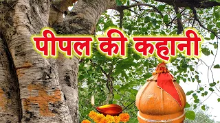 पीपल की कहानी || Pipal Ki Kahani || पीपल की कथा || Peepal Dev Ki katha || Peepal ki kahani