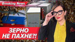 🤯ТРЕШ! ⚡️Поляки скуповують російське зерно, АЖ ГАЙ ГУДЕ!| Незламна країна | 5 канал| ОНЛАЙН | 1.3.24