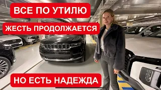 ВСЕ ПРО УТИЛЬ. НА СКОЛЬКО ВЫРАСТУТ ЦЕНЫ И ПОЧЕМУ