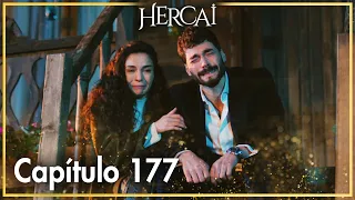 Hercai - Capítulo 177