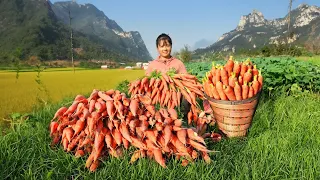 Harvesting Many Carrots Goes to countryside market sell - Rural farm - Cooking | Tiểu Vân Daily Life