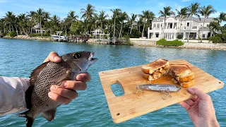 CATCH AND COOK! Multi-Species Fishing - Bonefish, Snook, Jack, Bluefish, and Grunt!