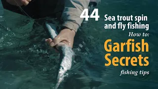 How to • Sea trout - Spin and fly fishing • Garfish Secrets • fishing tips