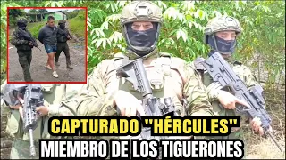 Fuerzas Armadas capturan a "Hércules" integrante de "Los Tiguerones"