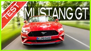 Ford Mustang GT Cabriolet (2019) im Fahrbericht: 450 reine V8-SAUG-PS für rund 50.000 Euro! | Test