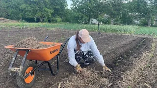 ВСЕ МУЛЬЧУЮ ПО МОЖЛИВОСТІ✨ВИСАДИЛА ВСІ ТОМАТИ🍅ЖИТТЯ В СЕЛІ👩🏼‍🌾ГОРОДНІ СПРАВИ👒З МІСТА В СЕЛО