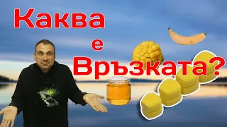 Има ли шаранът къща? | Част 1: Ароматите