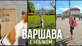 ВАРШАВА С СОБАКОЙ || Petfriendly места Варшавы - поезд, площадки и кафе для собак || Плюсы и МИНУСЫ