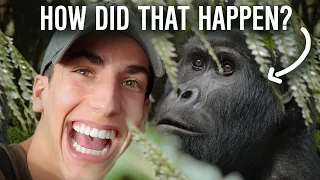 I Took a Selfie with a GORILLA (Uganda Africa Travel Vlog) | Roy Adin