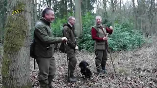 Watch Abiann Flawless' championship run at the 2018 Cocker Spaniel Championship