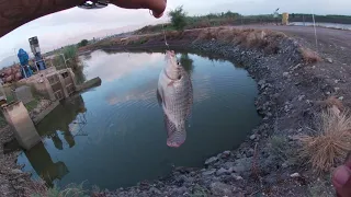 חזרתי???🫣🫣/ דייג בטעלות איזה כיףףף🔥🎣