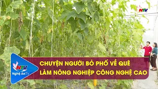 Chuyện người bỏ phố về quê làm nông nghiệp công nghệ cao