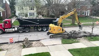 👷‍♂️ 🚧The Excavator In Action!