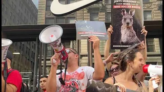 Hundreds Protest Nike's Kangaroo Slaughter