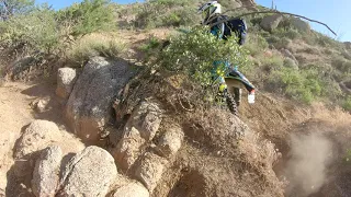 Mesquite wash single track